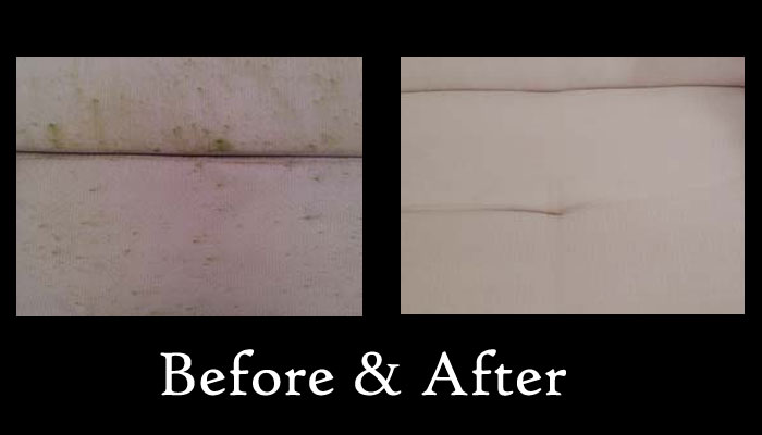 upholstery cleaning Kansas City